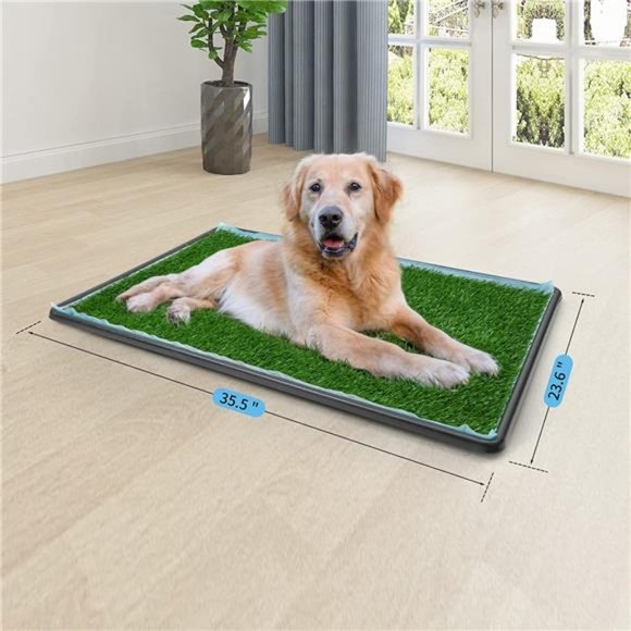 Dog Grass pad with Tray,45”x 29” Indoor Dog Potty for Puppy (Extra Large) - Picture 2 of 6
